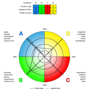 HBDI® - The Herrmann Brain Dominance Instrument®